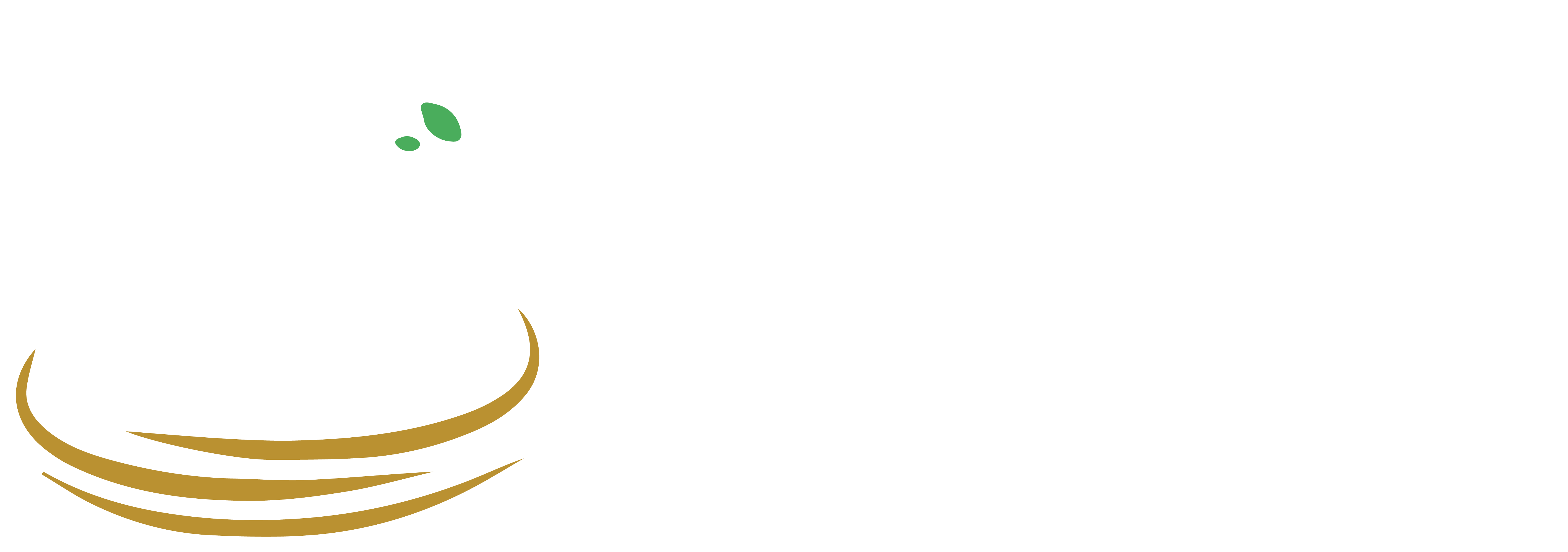 Nest Investments Limited